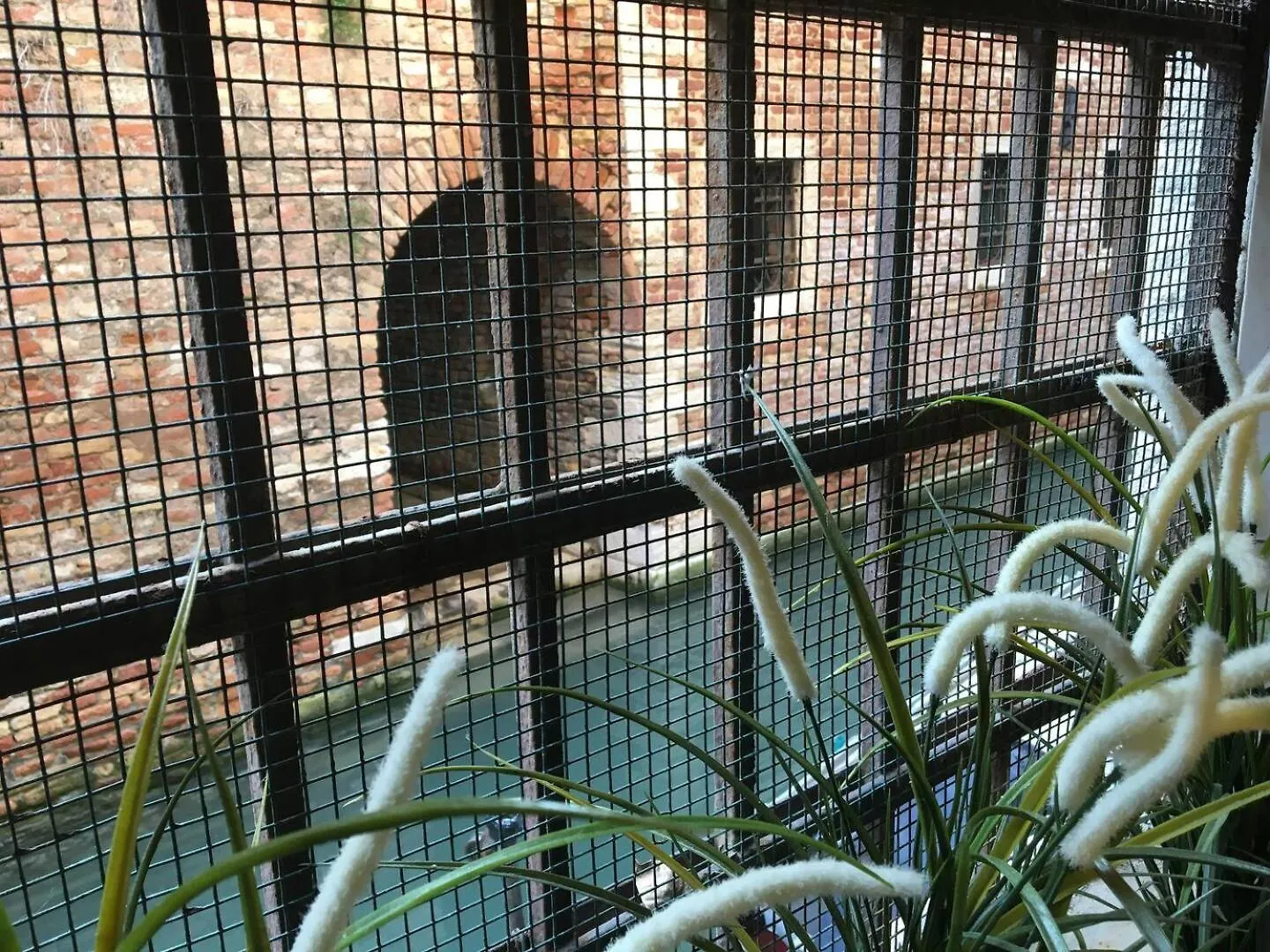 Mascherone Apartment Venice